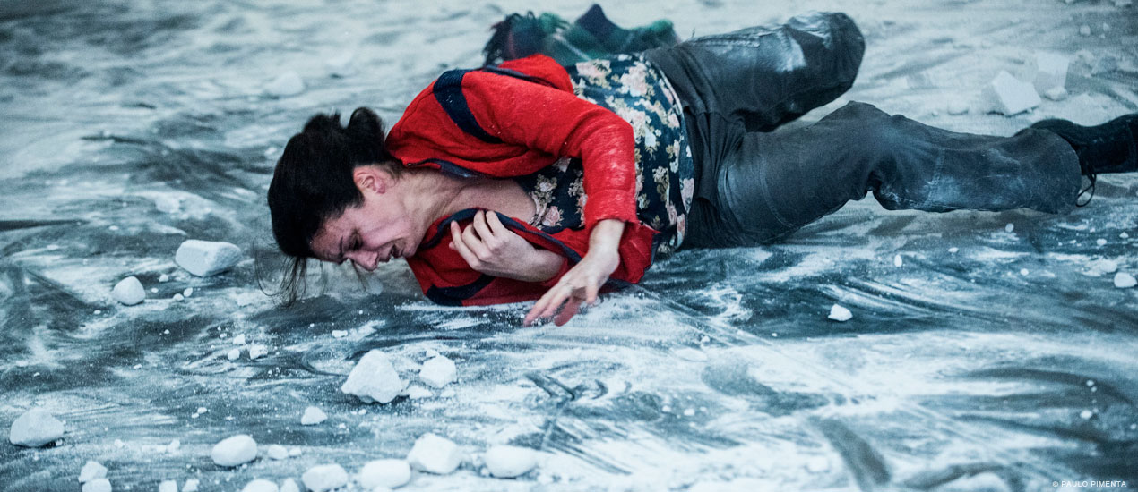 Companhia Olga Roriz - Antes que matem os Elefantes