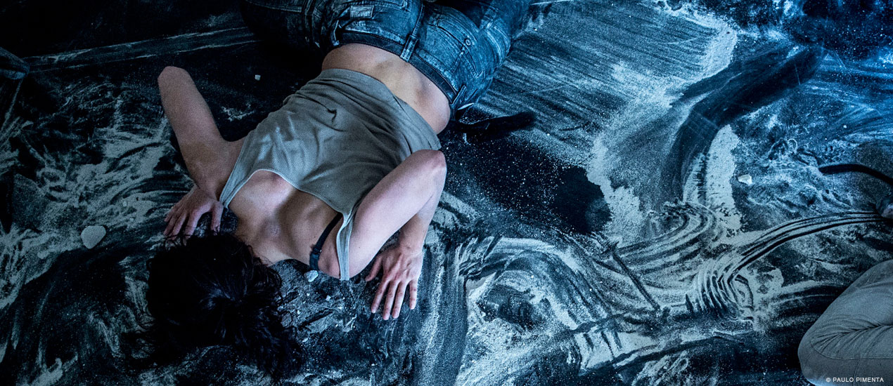 Companhia Olga Roriz - Antes que matem os Elefantes